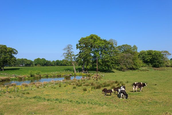 Idyllic surrounding countryside