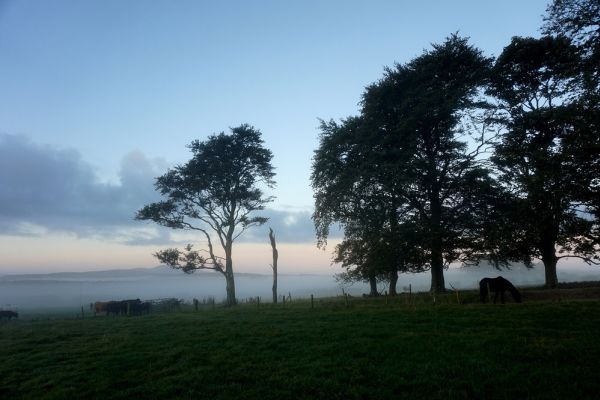 Lammerlaw Self Catering