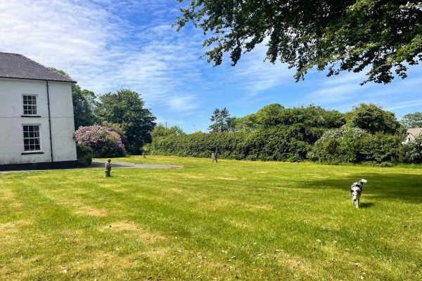 Hafod Grove Mansion House