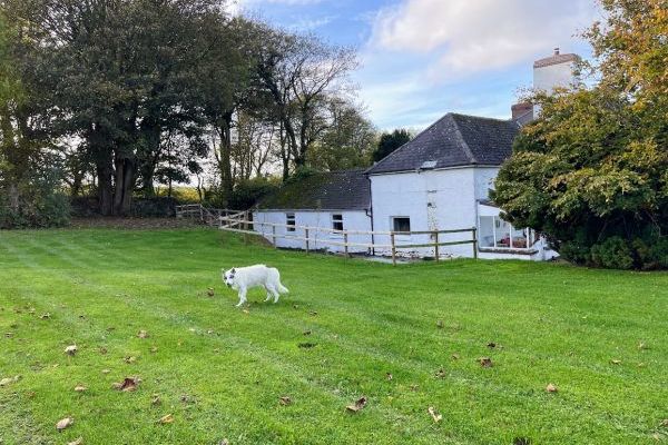 Hafod Grove Mansion House & Hafod Fach
