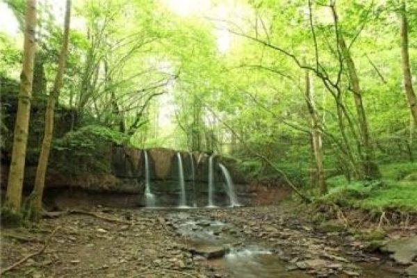 Waterfall in our woodland