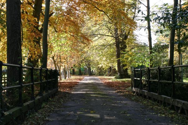 Knowle Manor