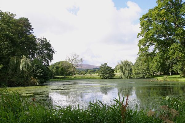 Knowle Manor