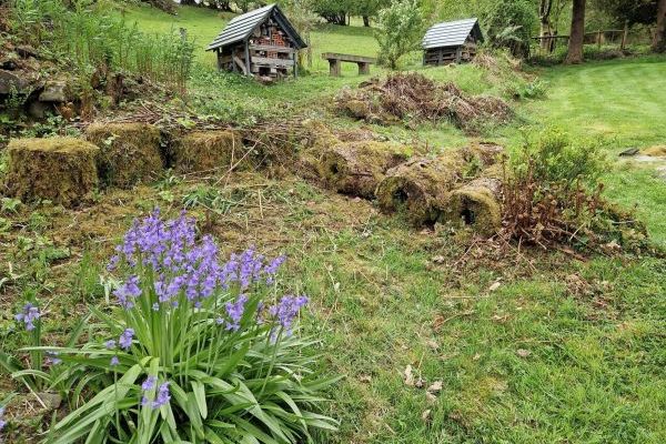 Ty Gwyn Cottage