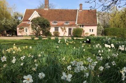 Toad Hall, Swilland