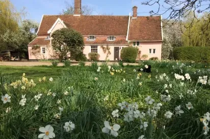 Toad Hall, Swilland