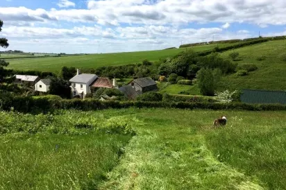 Rafters, 2 bedrooms, sleeps 4, level enclosed garden, dog friendly