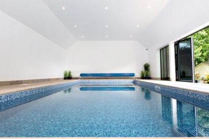 Meadow View